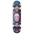 Skateboard Hydroponic Mexican 7.75" Blue Skull
