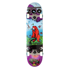 Skateboard Crandon 8,25" Bear